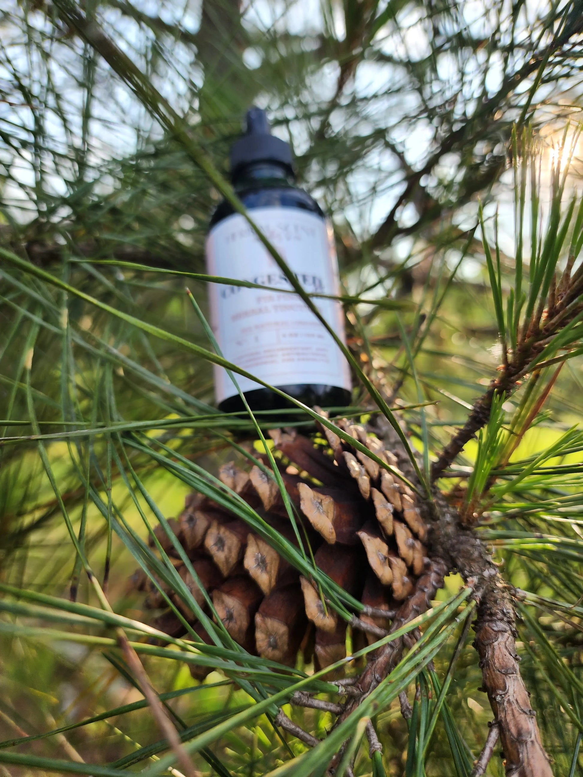 Congested AF Fir Pine Tincture Herbal Scent Candles & Co