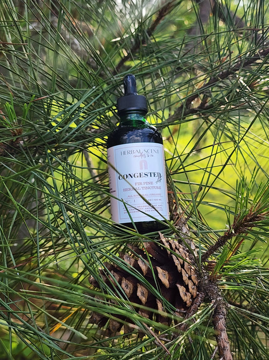 Congested AF Fir Pine Tincture Herbal Scent Candles & Co