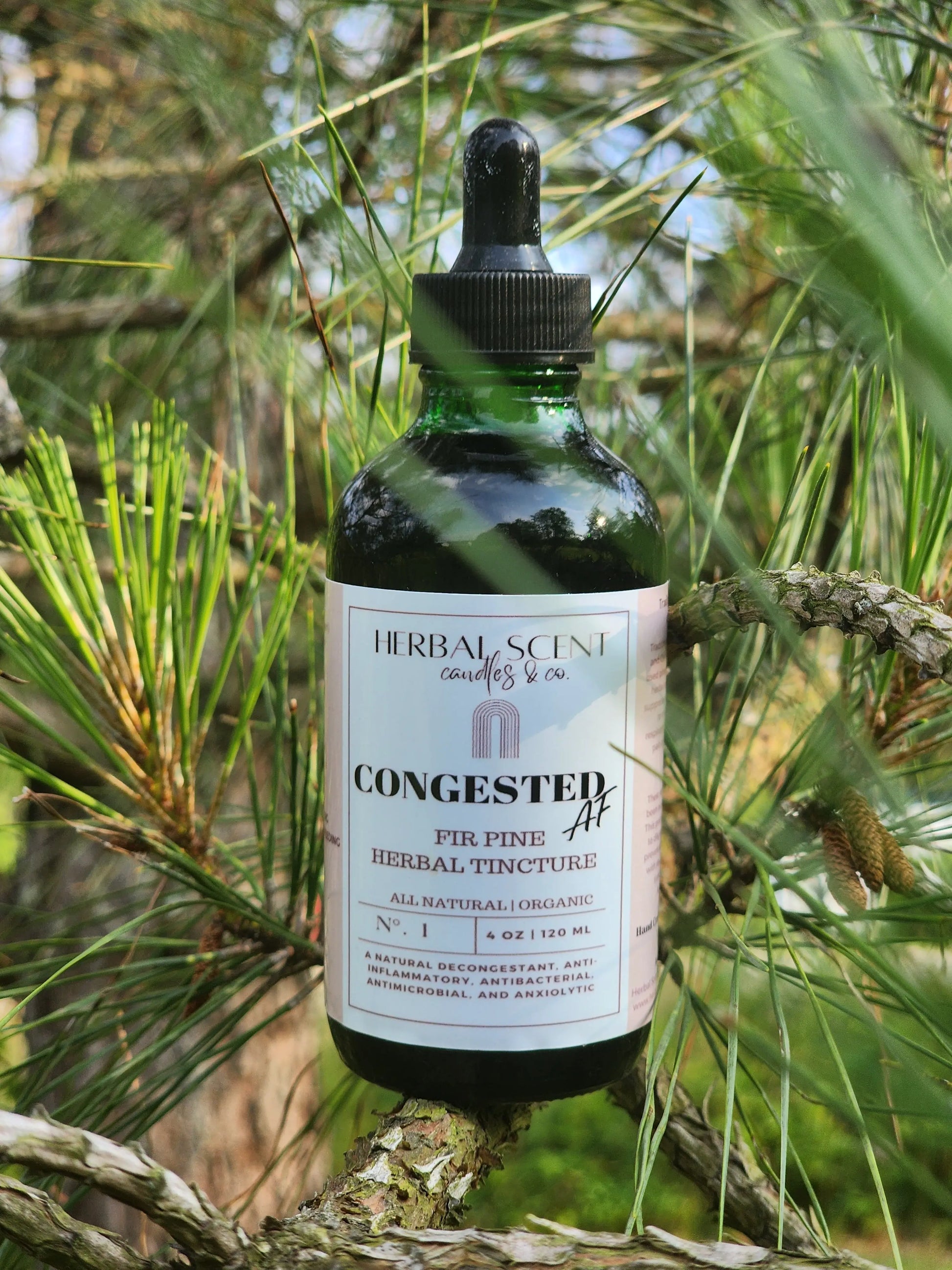 Congested AF Fir Pine Tincture Herbal Scent Candles & Co
