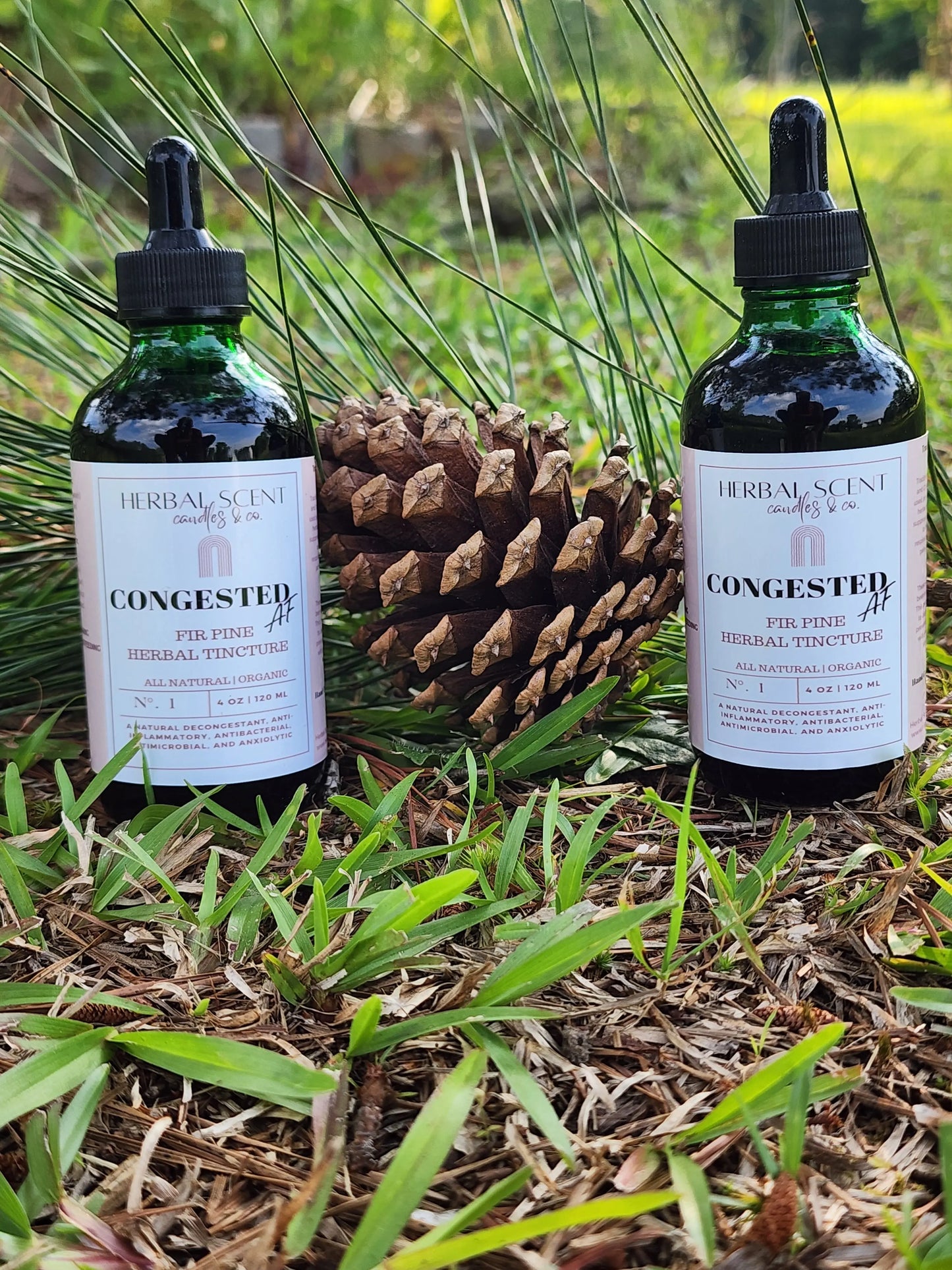Congested AF Fir Pine Tincture Herbal Scent Candles & Co