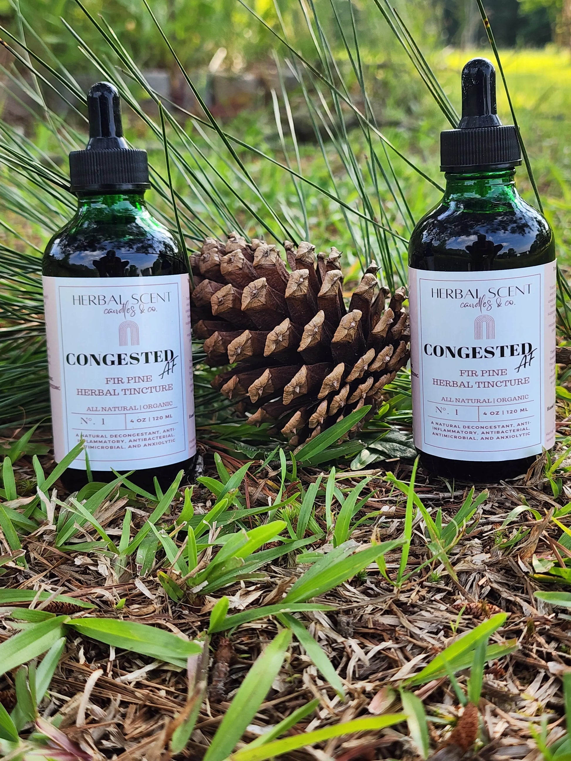 Congested AF Fir Pine Tincture Herbal Scent Candles & Co