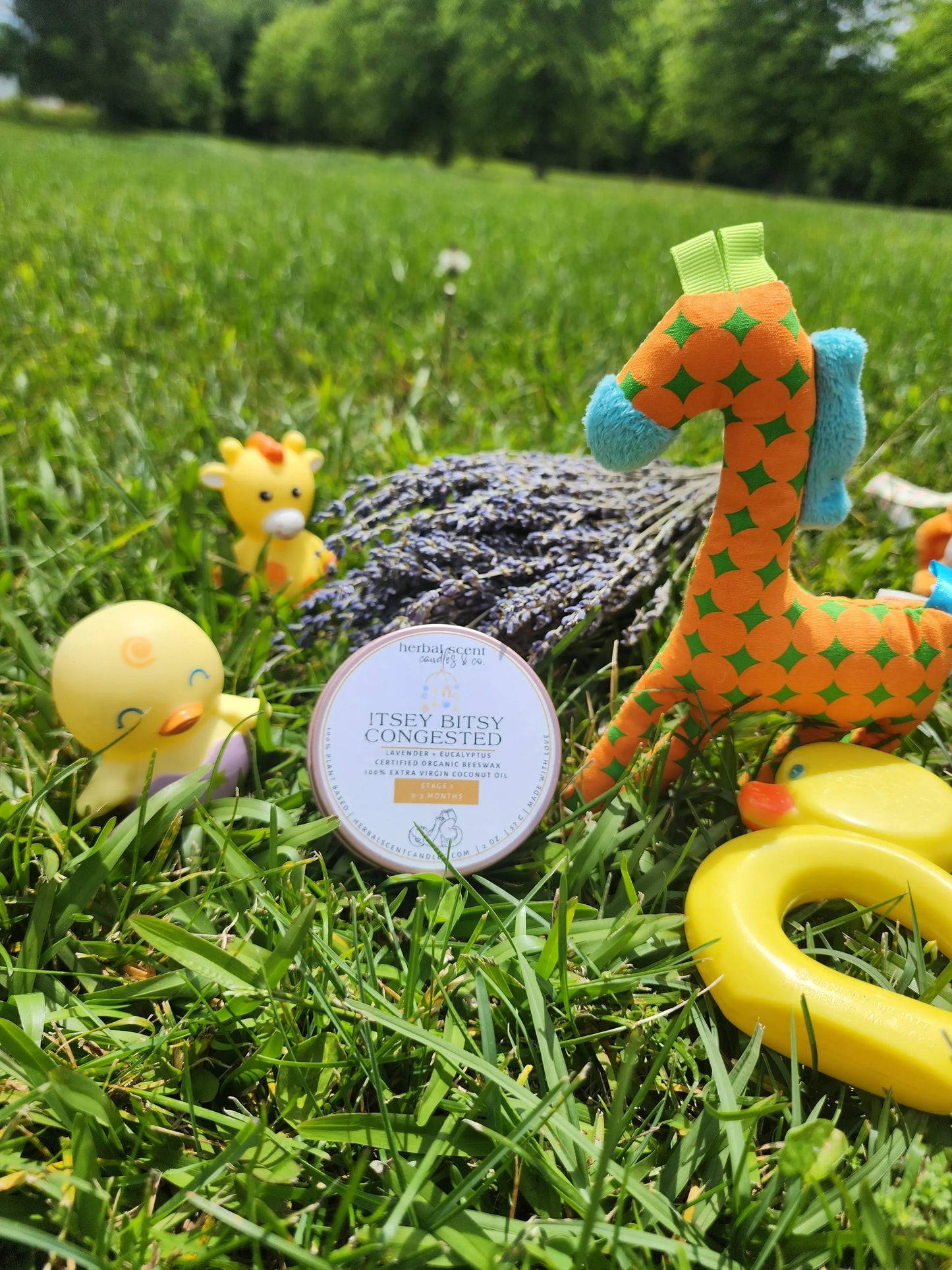 Itsy Bitsy Congested - Stage I Herbal Scent Candles & Co