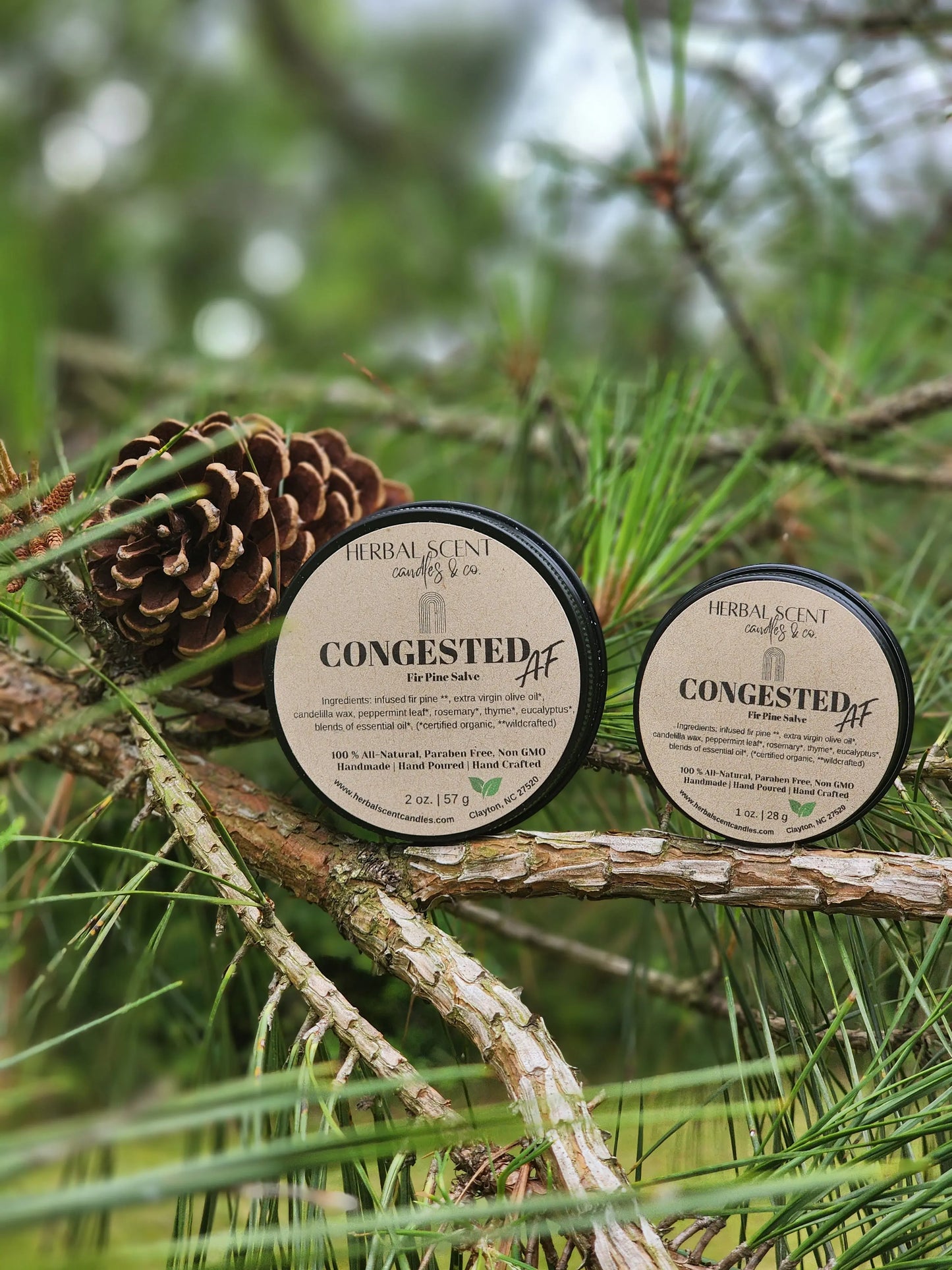 🌿 Congested AF Fir Pine Salve - Vegan Friendly Herbal Scent Candles & Co.