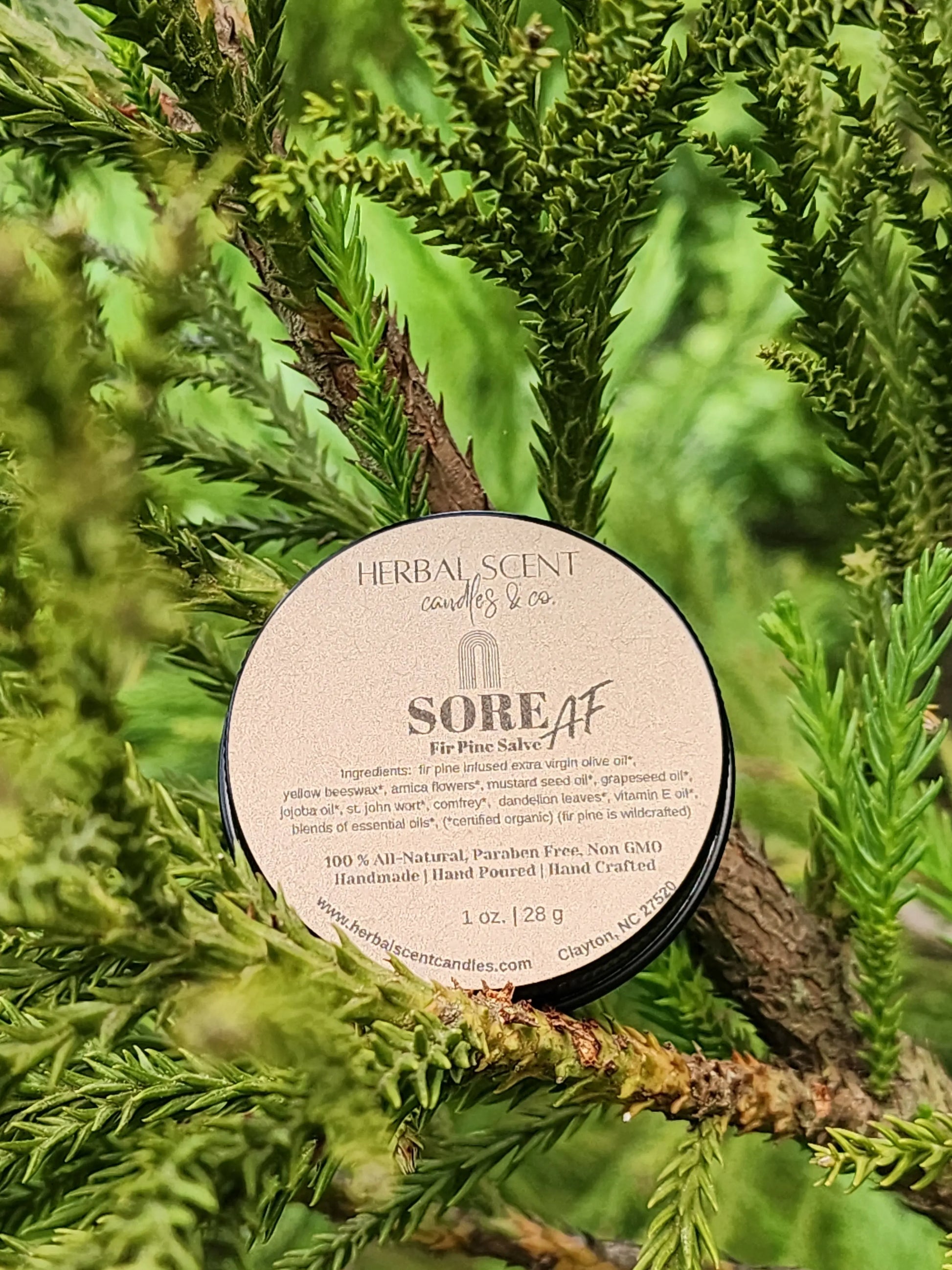 Sore AF Fir Pine Salve Herbal Scent Candle & Co.