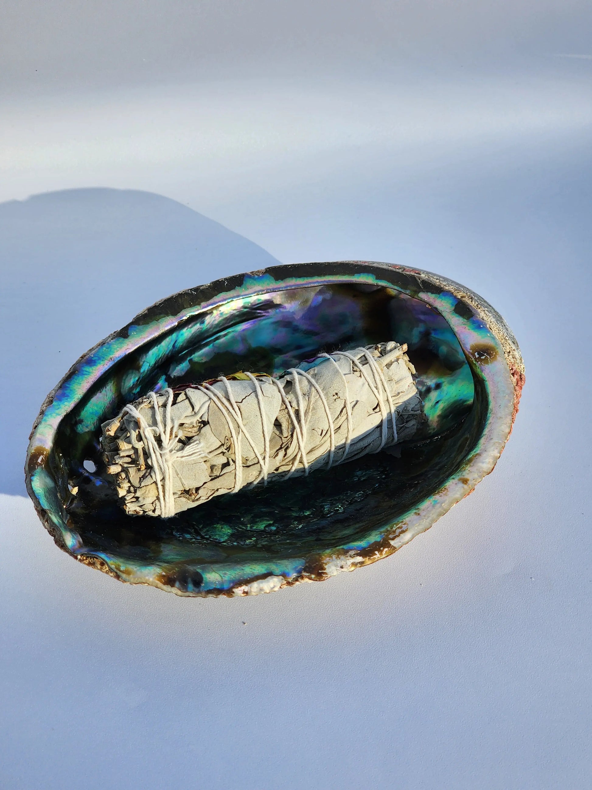 Authentic Abalone Shell Smudge Bowl – Extra Large (6–7 inches) 7chakrasrus