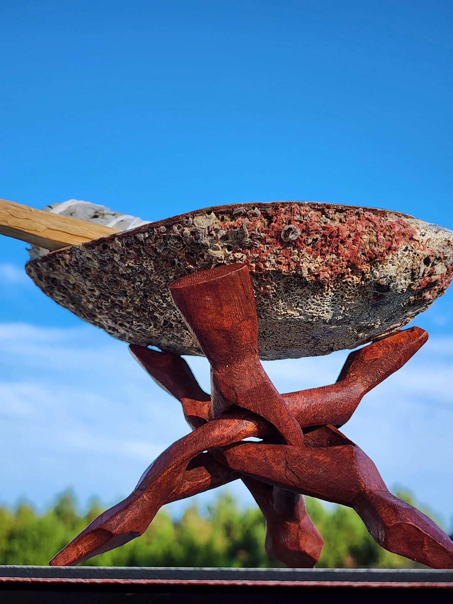 Abalone Shell with Hand-Carved Wooden Tripod Snake Stand – 5–6" Shell 7chakrasrus