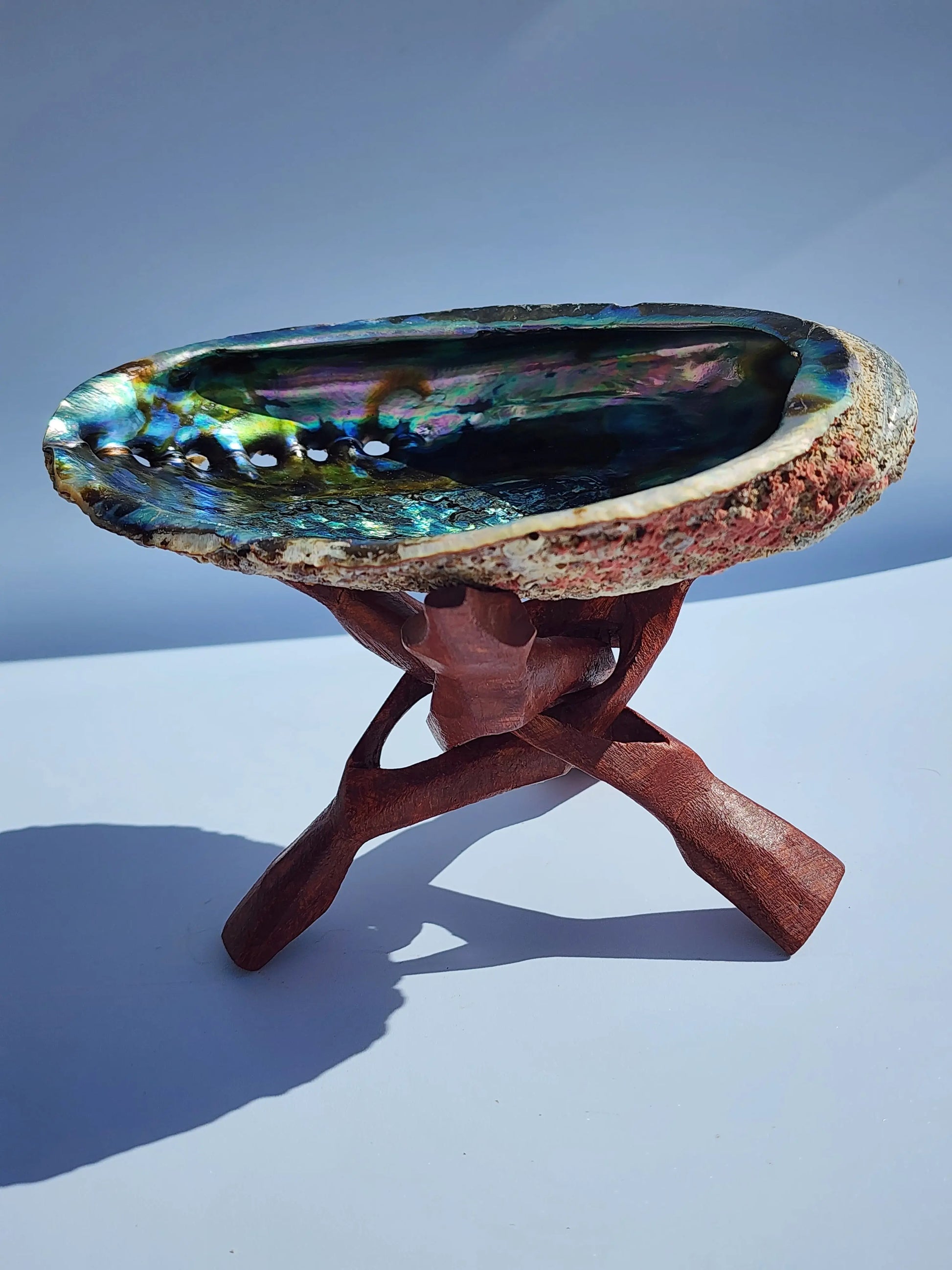 Abalone Shell with Hand-Carved Wooden Tripod Snake Stand – 5–6" Shell 7chakrasrus