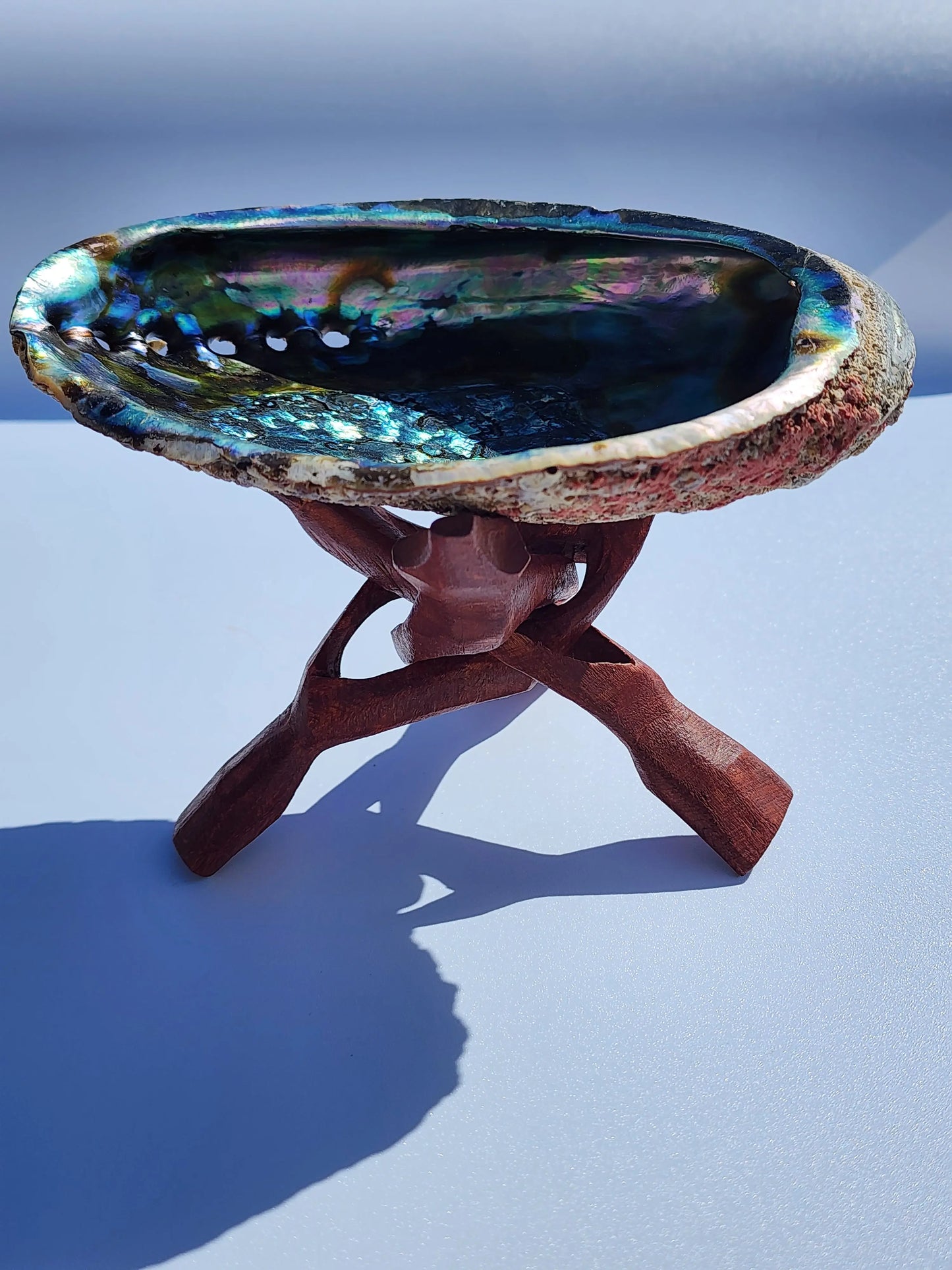 Abalone Shell with Hand-Carved Wooden Tripod Snake Stand – 5–6" Shell 7chakrasrus