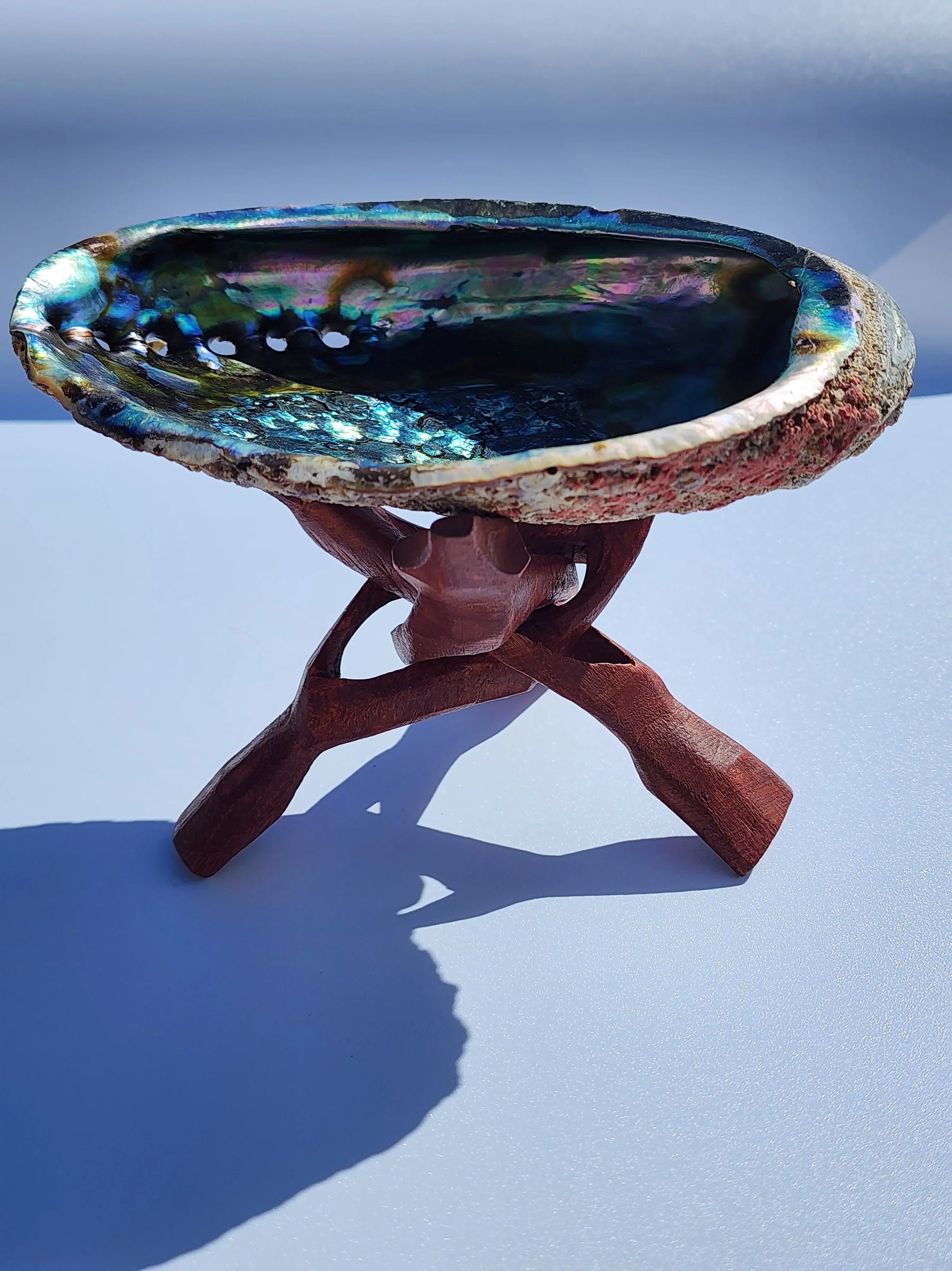Abalone Shell with Hand-Carved Wooden Tripod Snake Stand – 5–6" Shell 7chakrasrus