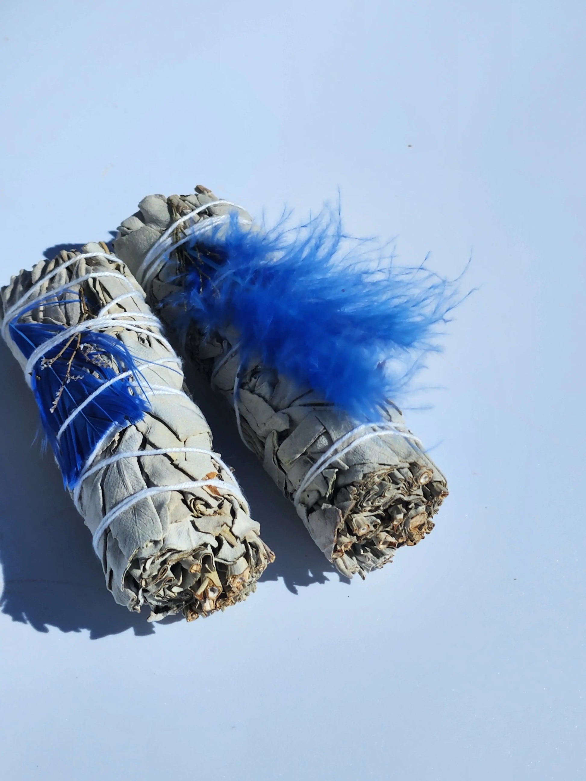 Blue Feather White Sage Smudge 7chakrasrus