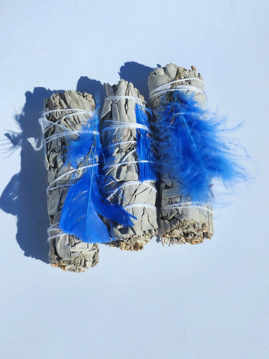 Blue Feather White Sage Smudge 7chakrasrus