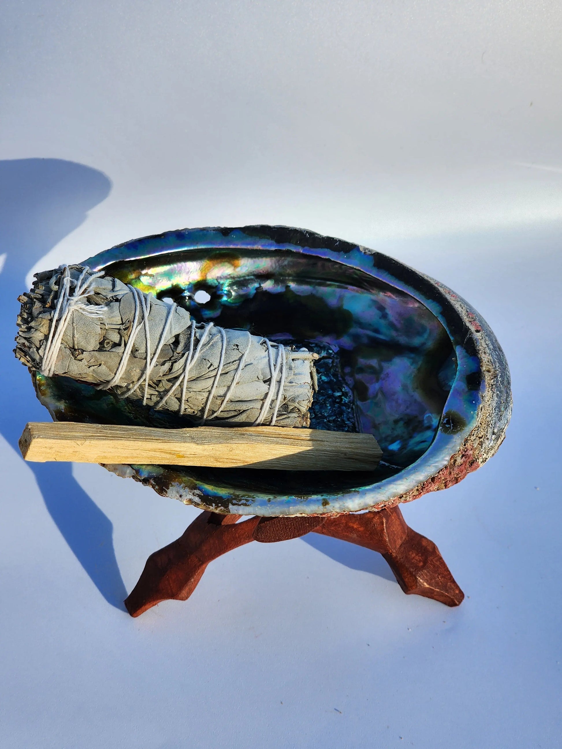 Authentic Abalone Shell Smudge Bowl – Extra Large (6–7 inches) 7chakrasrus