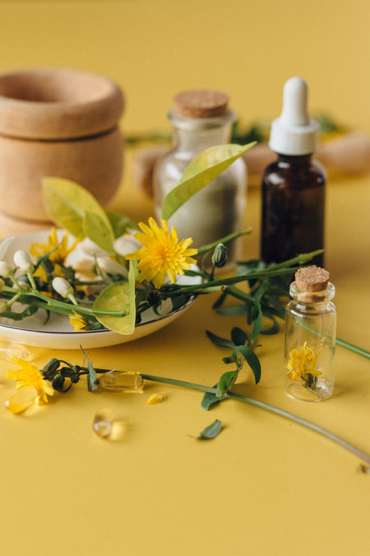 Understanding Herbal Extracts