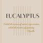 Eucalyptus | Holistic Aromatherapy Vegan Soy Candle (Choose Your Wick) Herbal Scent Candles & Co.