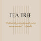 Tea Tree | Holistic Aromatherapy Vegan Soy Candle (Choose Your Wick) Herbal Scent Candles & Co.