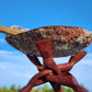 Abalone Shell with Hand-Carved Wooden Tripod Snake Stand – 5–6" Shell 7chakrasrus