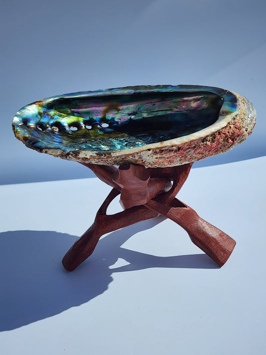 Abalone Shell With Wooden Tripod Snake Stand