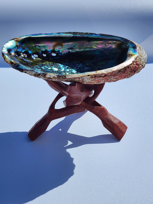 Abalone Shell With Wooden Tripod Snake Stand
