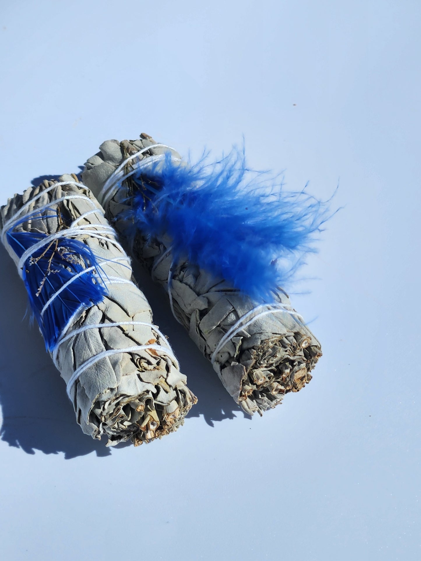 Blue Feather White Sage Smudge