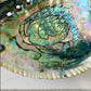Authentic Abalone Shell Smudge Bowl – Extra Large (6–7 inches) 7chakrasrus