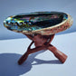Authentic Abalone Shell Smudge Bowl – Extra Large (6–7 inches) 7chakrasrus