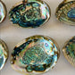 Authentic Abalone Shell Smudge Bowl – Extra Large (6–7 inches) 7chakrasrus